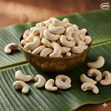 Cashew
