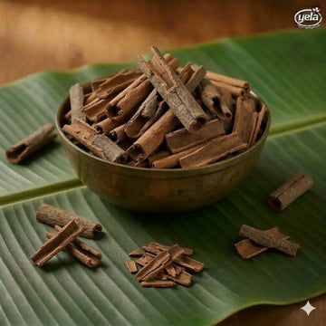Split Cassia